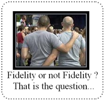 Fidelity or not fidelity ? That is the question